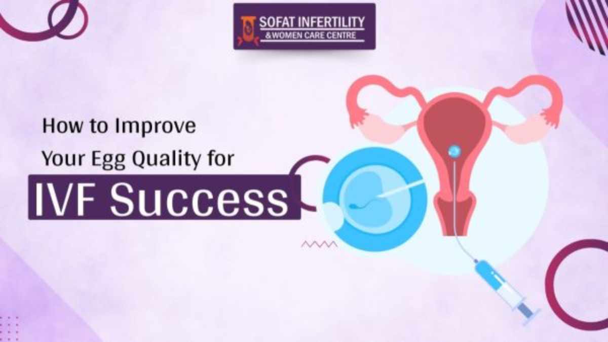 Improve Your Egg Quality for IVF Success
